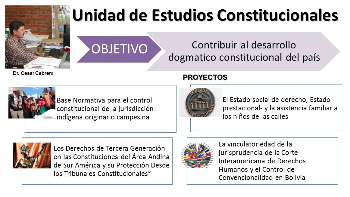 Estudios Constitucionales Facultad De Ciencias Juridicas Y Politicas